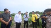 Tinjau Lokasi PLTSa, Munafri Bakal Fasilitasi Dialog PT SUS dan Masyarakat untuk Cari Solusi